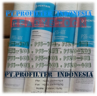 Pentek PS5-40E PS5-30E PS5-20E Spun Bonded Polypropylene Cartridge Filter Indonesia large2.jpg